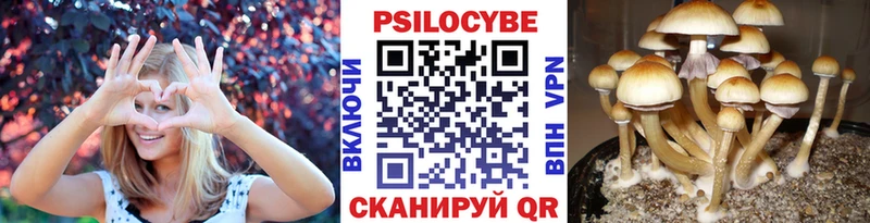 Купить закладки  Гаврилов Посад  Галлюциногенные грибы мицелий 